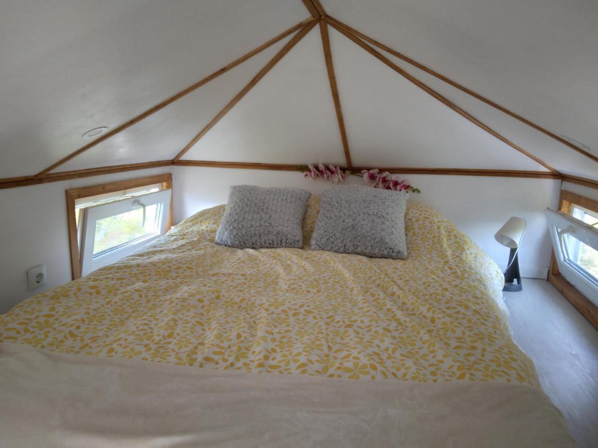 Sinnicoara Tiny House Cluj With Jacuzzi 빌라 외부 사진