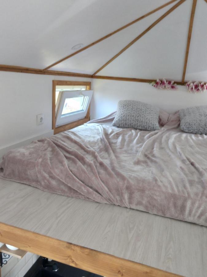 Sinnicoara Tiny House Cluj With Jacuzzi 빌라 외부 사진