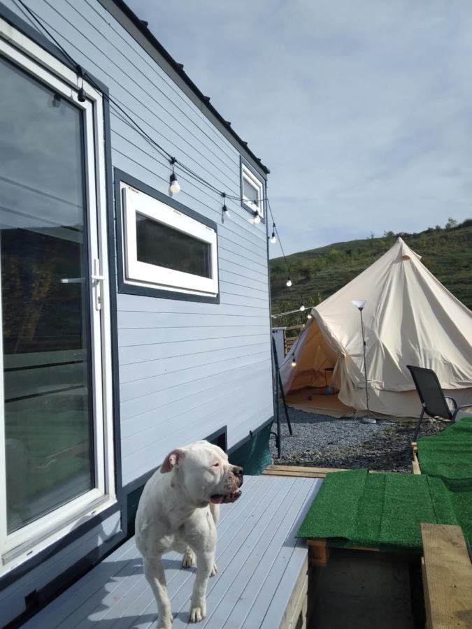 Sinnicoara Tiny House Cluj With Jacuzzi 빌라 외부 사진